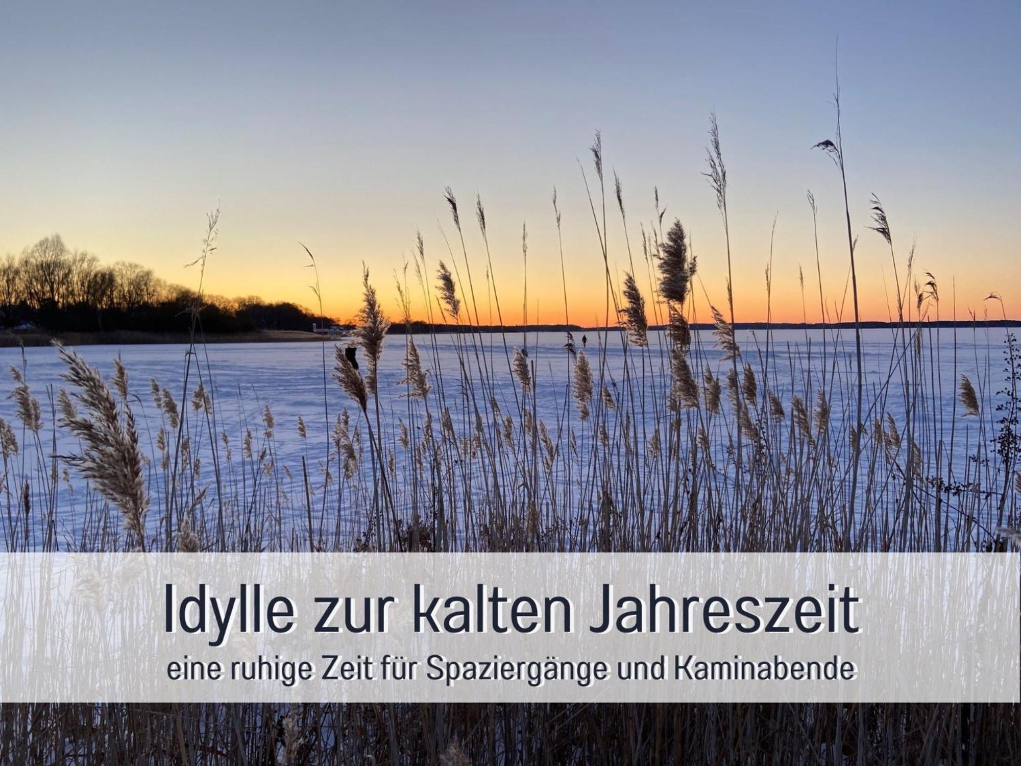 Strandhaus Mathea - Ruhige Lage Direkt Am Fleesensee - Parkplatz, Kamin, Sauna - Familienfreundlich Unter Gohren Екстер'єр фото