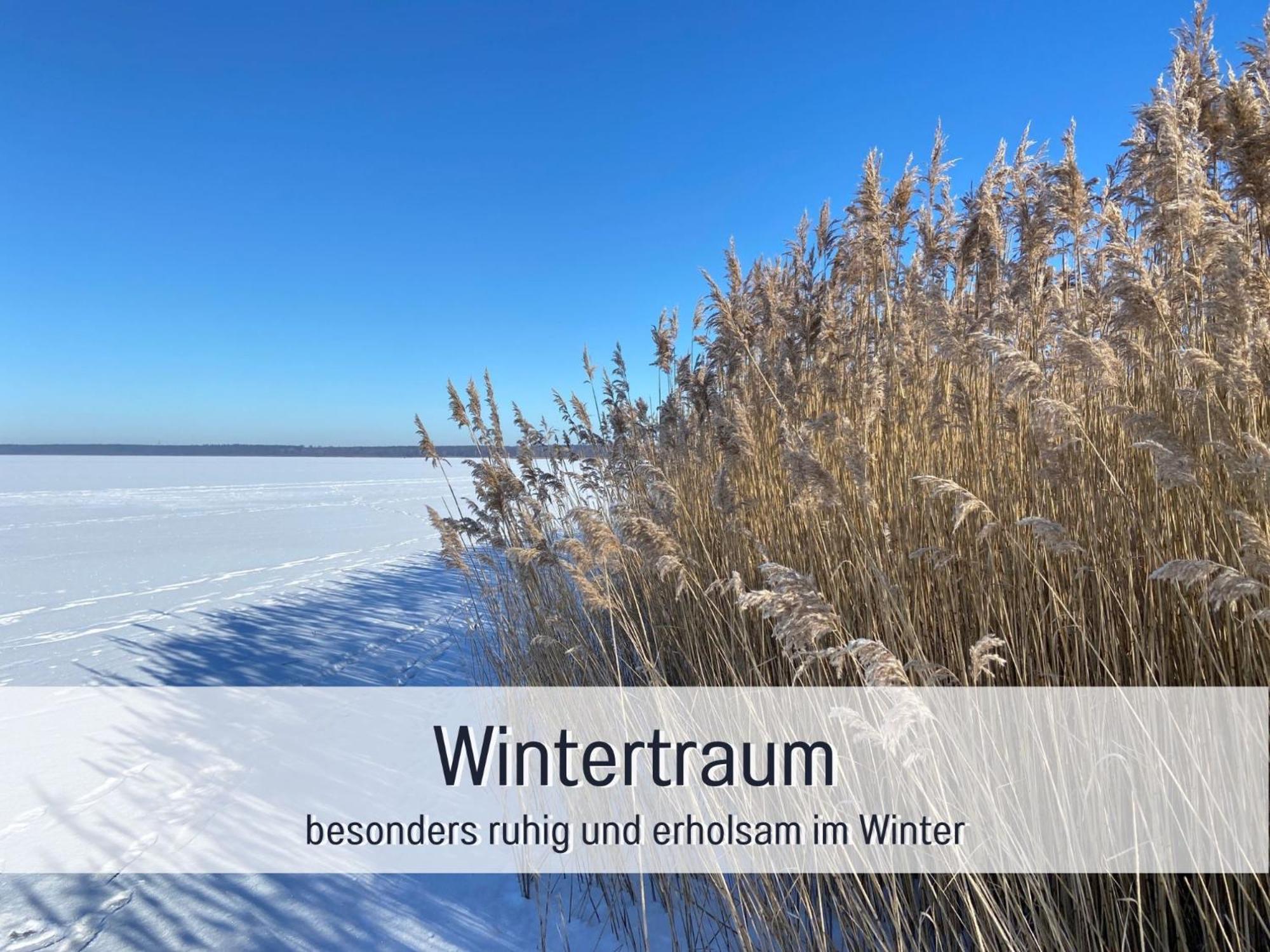 Strandhaus Mathea - Ruhige Lage Direkt Am Fleesensee - Parkplatz, Kamin, Sauna - Familienfreundlich Unter Gohren Екстер'єр фото