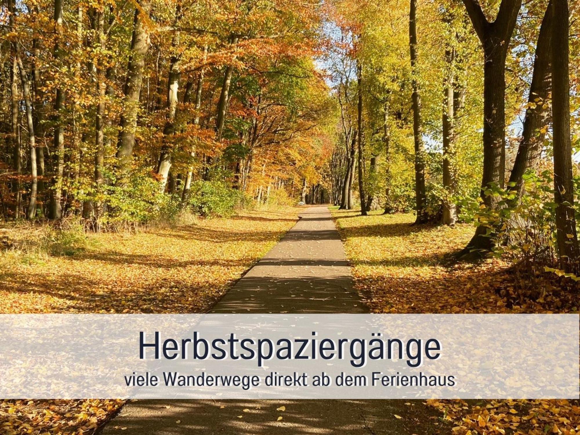 Strandhaus Mathea - Ruhige Lage Direkt Am Fleesensee - Parkplatz, Kamin, Sauna - Familienfreundlich Unter Gohren Екстер'єр фото